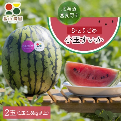 『2025先行受付』ひとりじめ小玉すいか　2玉