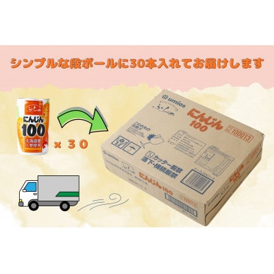 【北海道産にんじん使用】ふらの にんじん100 160g×30本入