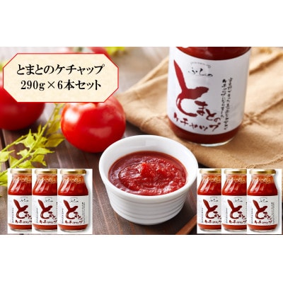 【北海道産トマト使用】ふらの とまとのケチャップ 290g×6本入