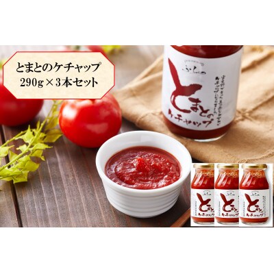 【北海道産トマト使用】ふらの とまとのケチャップ 290g×3本入