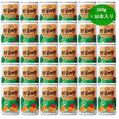 【毎月定期便】【国産野菜使用】ふらの　野菜の里　160g×30本入り 全3回