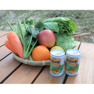 【毎月定期便】【国産野菜使用】ふらの　野菜の里　160g×30本入り 全3回