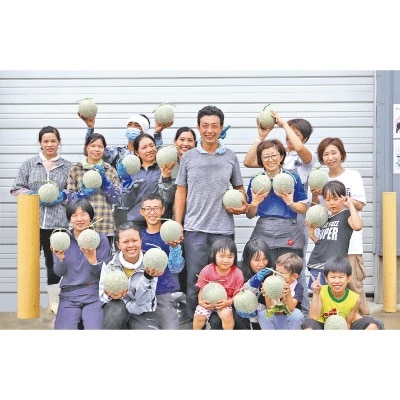富良野メロン赤肉　大箱約8kg(4玉～6玉入り)