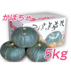 【2023年秋発送】富良野産かぼちゃ5kg