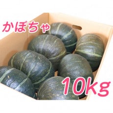 【2023年秋発送】富良野産かぼちゃ10kg