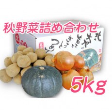 富良野野菜 約5kgセット(じゃがいも・玉ねぎ・かぼちゃ)2023年秋発送