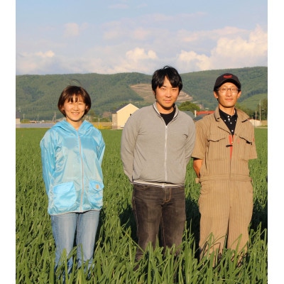 ふらの産 黄たまねぎ約10kg