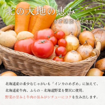 ふらの・北海道野菜のビーフシチュー 260g×10食セット