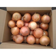 富良野おかの農園産タマネギ 10kg