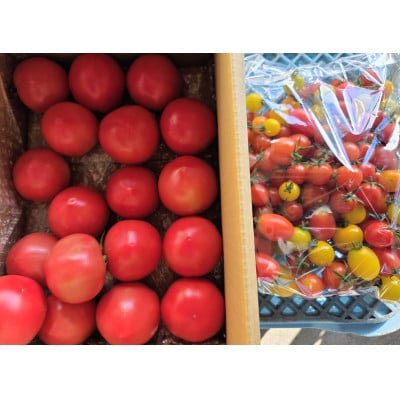 大玉トマト2kg&多品種ミニトマト1kg食べ比べセット