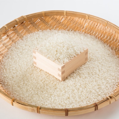 令和7年　富良野産ゆめぴりか 米 5kg×2袋(合計10kg)