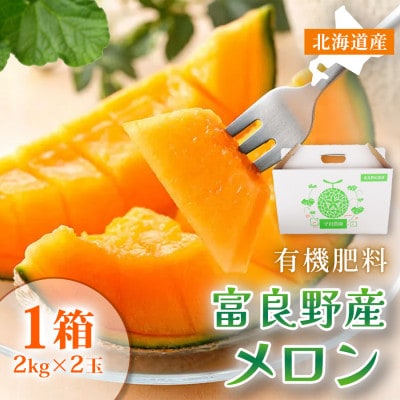 【糖度15度以上 赤肉メロン】富良野産 特秀品メロン 2kg×2玉1箱|北海道富良野市 7～8月発送