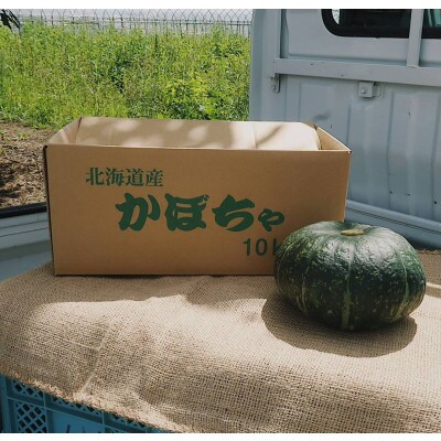 【先行受付令和5年9月中旬より発送予定】北海道富良野産えびすかぼちゃ無選別約10kg(4～10玉入)