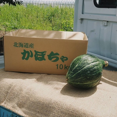 【令和4年9月中旬より発送予定】北海道富良野産かぼちゃ ロロン 約10kg(4～10玉入)