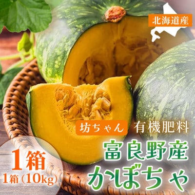 【2026年9月中旬～発送】北海道 ふらの 坊ちゃん かぼちゃ 無選別 約10kg (守田農園)