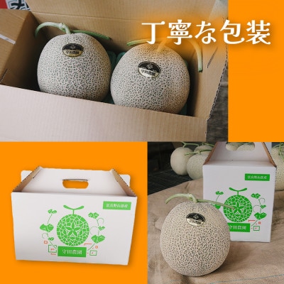 【糖度15度以上 赤肉メロン】富良野産 メロン 1.6kg×1玉 1箱|北海道富良野市 7～8月発送