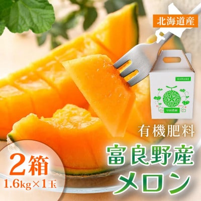 【糖度15度以上 赤肉メロン】富良野産 メロン 1.6kg×1玉 2箱|北海道富良野市 7～8月発送
