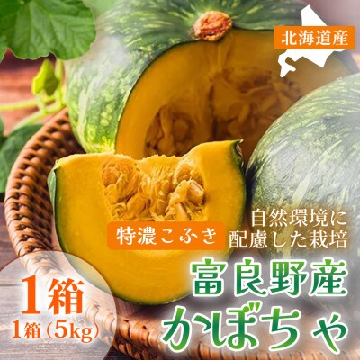 【秋の味覚 北海道産 かぼちゃ】特濃こふき 無選別 5kg×1箱|北海道富良野市 9～10月発送