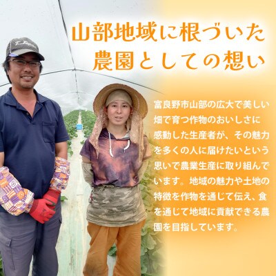 【秋の味覚 北海道産 かぼちゃ】特濃こふき 無選別 5kg×1箱|北海道富良野市 9～10月発送