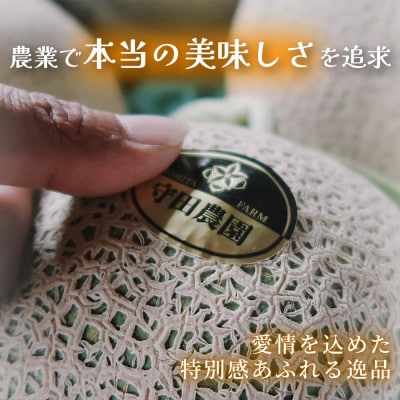 【糖度15度以上赤肉メロン】富良野産 特秀品メロン 2箱(2kg×2玉)北海道富良野市 7～8月発送