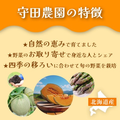 【糖度15度以上赤肉メロン】富良野産 特秀品メロン 2箱(2kg×2玉)北海道富良野市 7～8月発送