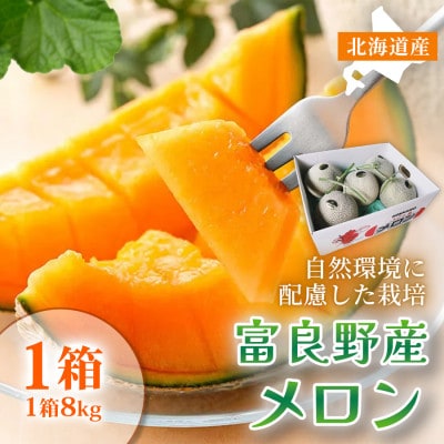 【糖度15度以上 赤肉メロン】富良野産 メロン8kg サイズいろいろ1箱|北海道富良野市7～8月発送
