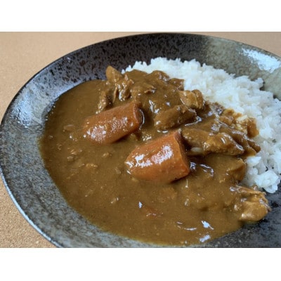 珈琲森の時計　倉本家直伝チキンカレー<辛口>　10個セット