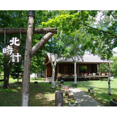 北時計　グリーンカレー　10個セット