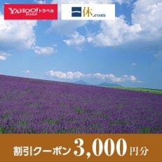 【北海道富良野市】一休.com・Yahoo!トラベル割引クーポン(3,000円分)