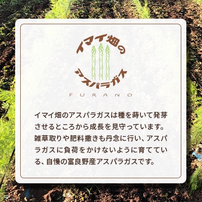 イマイ畑のアスパラガス 2kg