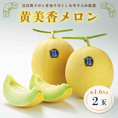 2025年発送】黄美香メロン(青肉)1.6kg×2玉 | 北海道富良野市