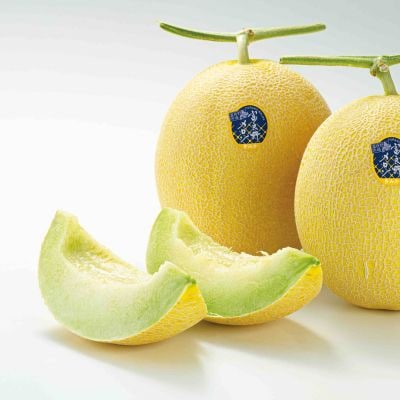 2025年発送】黄美香メロン(青肉)1.6kg×2玉 | 北海道富良野市