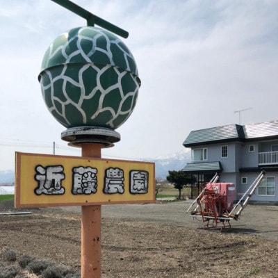 近藤農園の富良野産メロン大玉 4玉入り(2kg～2.2kg未満/玉)