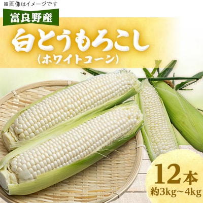 近藤農園の富良野産白とうもろこし(ホワイトコーン) 12本