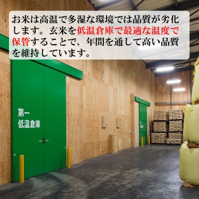 ◆無洗米◆【特A受賞米】北海道富良野市産ななつぼし　精米5kg×2袋