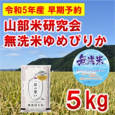 【発送月固定定期便】◆令和5年産先行受付◆【無洗米】特A受賞!富良野市産ゆめぴりか 精米5kg全9回