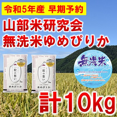 【発送月固定定期便】◆令和5年産先行受付◆【無洗米】特A受賞!富良野市産ゆめぴりか精米10kg全6回