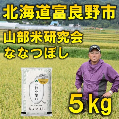2023年5月発送開始『定期便』富良野市産ななつぼし 精米5kg全3回