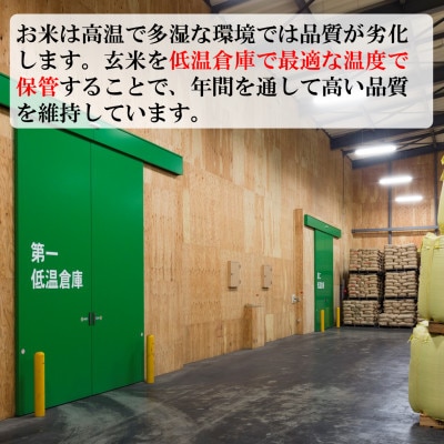 2023年1月発送開始『定期便』【特A食べ比べ】富良野市産 精米20kg[5kg×4]全6回