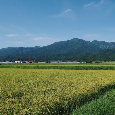 令和7年産米　富良野産　栽培期間出来るだけ農薬を減らして作った　おぼろづき　10kg