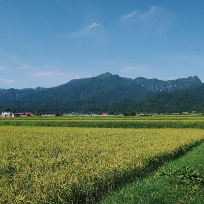 【玄米】令和7年産米　富良野産　栽培期間中出来るだけ農薬を減らして作った　ななつぼし　10kg