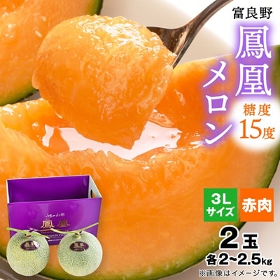 【2026年発送】糖度15度 富良野鳳凰メロン(赤肉)　2玉　各2～2.5kg(3Lサイズ)