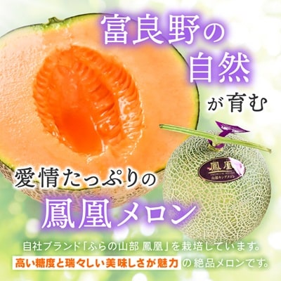 【2026年発送】糖度15度 富良野鳳凰メロン(赤肉)　2玉　各1.8～2kg(2Lサイズ)