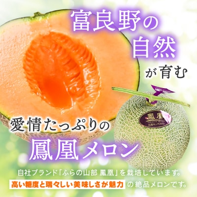 【2026年発送】糖度15度 富良野鳳凰メロン(赤肉)　3玉　各1.8～2kg(2Lサイズ)