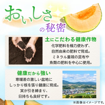 【2026年発送】糖度15度 富良野鳳凰メロン(赤肉)　3玉　各1.8～2kg(2Lサイズ)