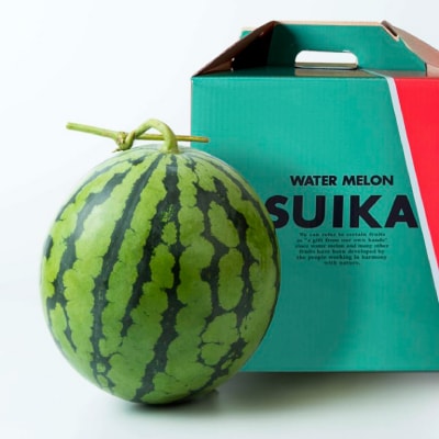 【発送月固定定期便】富良野産鳳凰メロン(赤肉)1玉・鳳凰スイカ1玉全2回