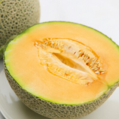 【発送月固定定期便】富良野産鳳凰メロン(赤肉)1玉・鳳凰スイカ1玉全2回