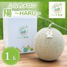 ふらのメロン「陽 ～HARU～」大玉(2.3kg以上)×1玉　(赤肉)富良野メロン