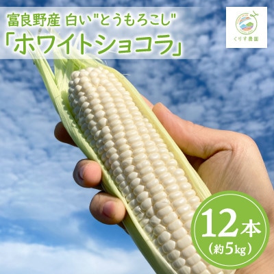 【2025年発送】北海道富良野産白いとうもろこし「ホワイトショコラ」12本(約5kg)