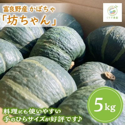【2025年発送】北海道富良野産かぼちゃ「坊ちゃん」5kg ※手のひらサイズが好評です!